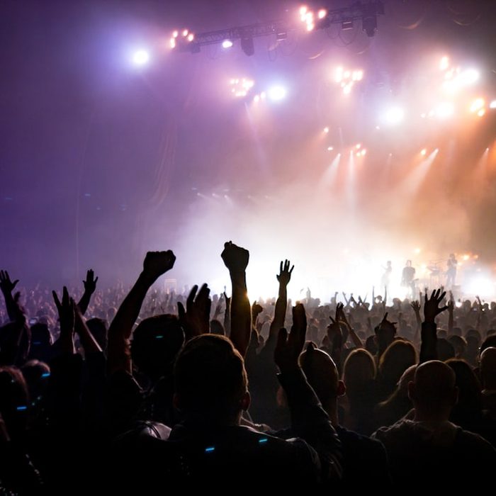 Event Security — BlueWolf Security
