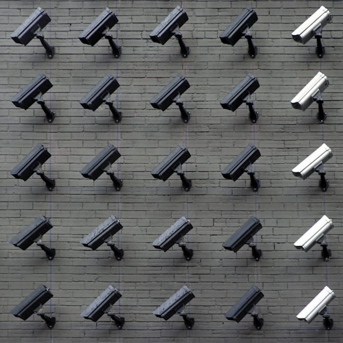 24/7 Surveillance & Monitoring — BlueWolf Security